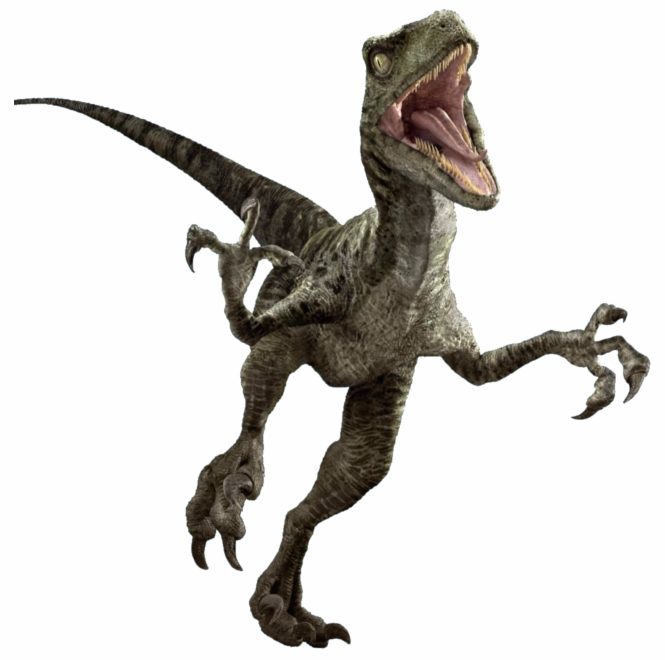 Raptor Engineering